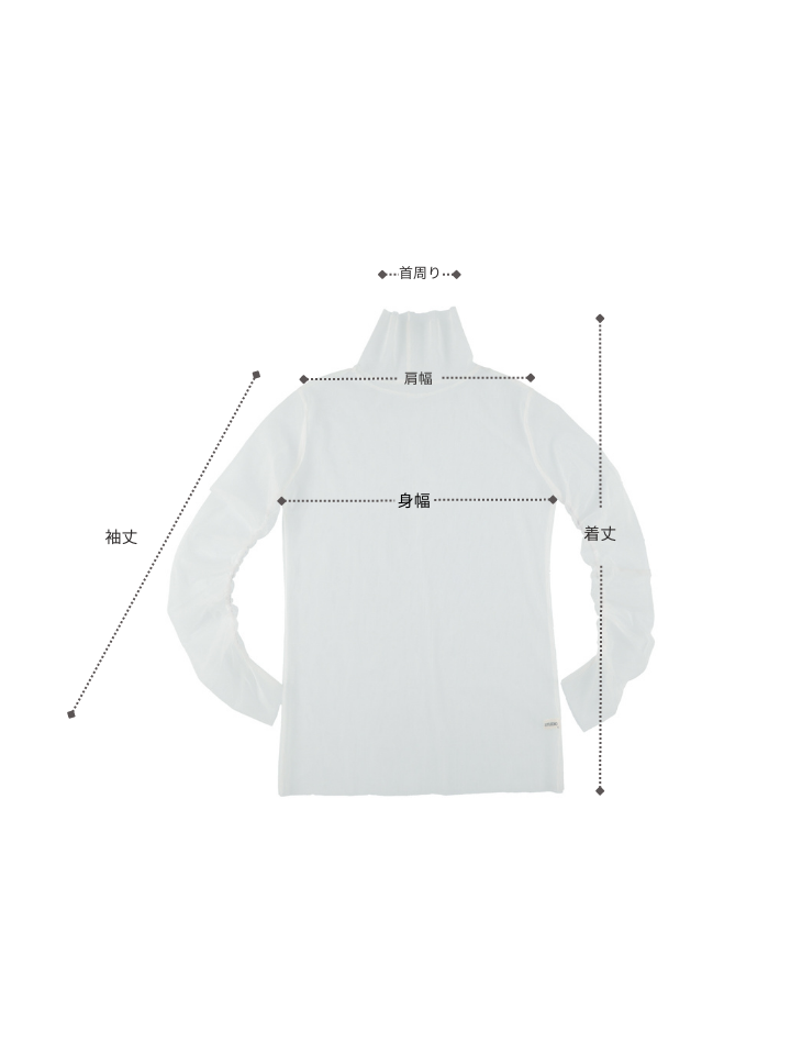 sheer mesh turtleneck