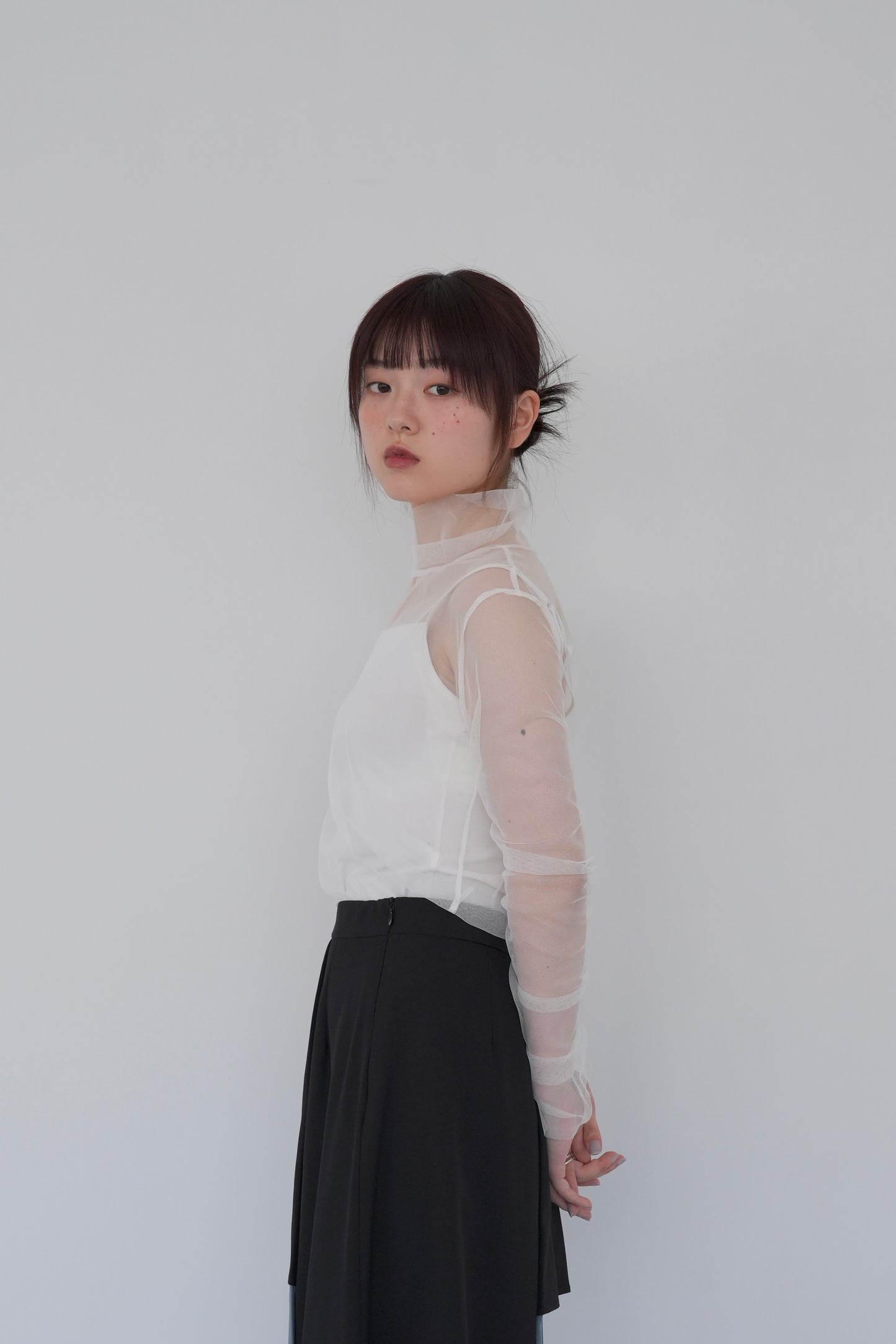 sheer mesh turtleneck