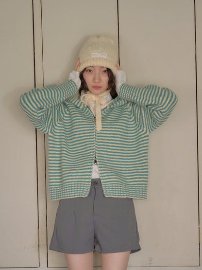 bonnet knit beanie