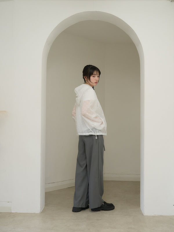 dot sheer hoodie