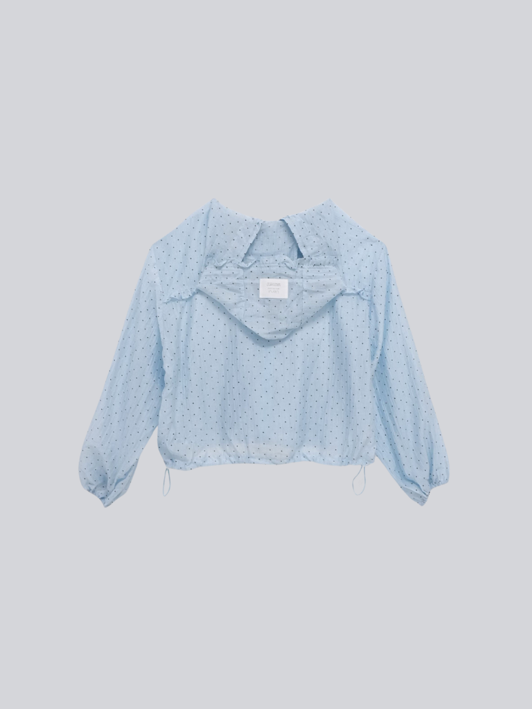 frill sheer hoodie