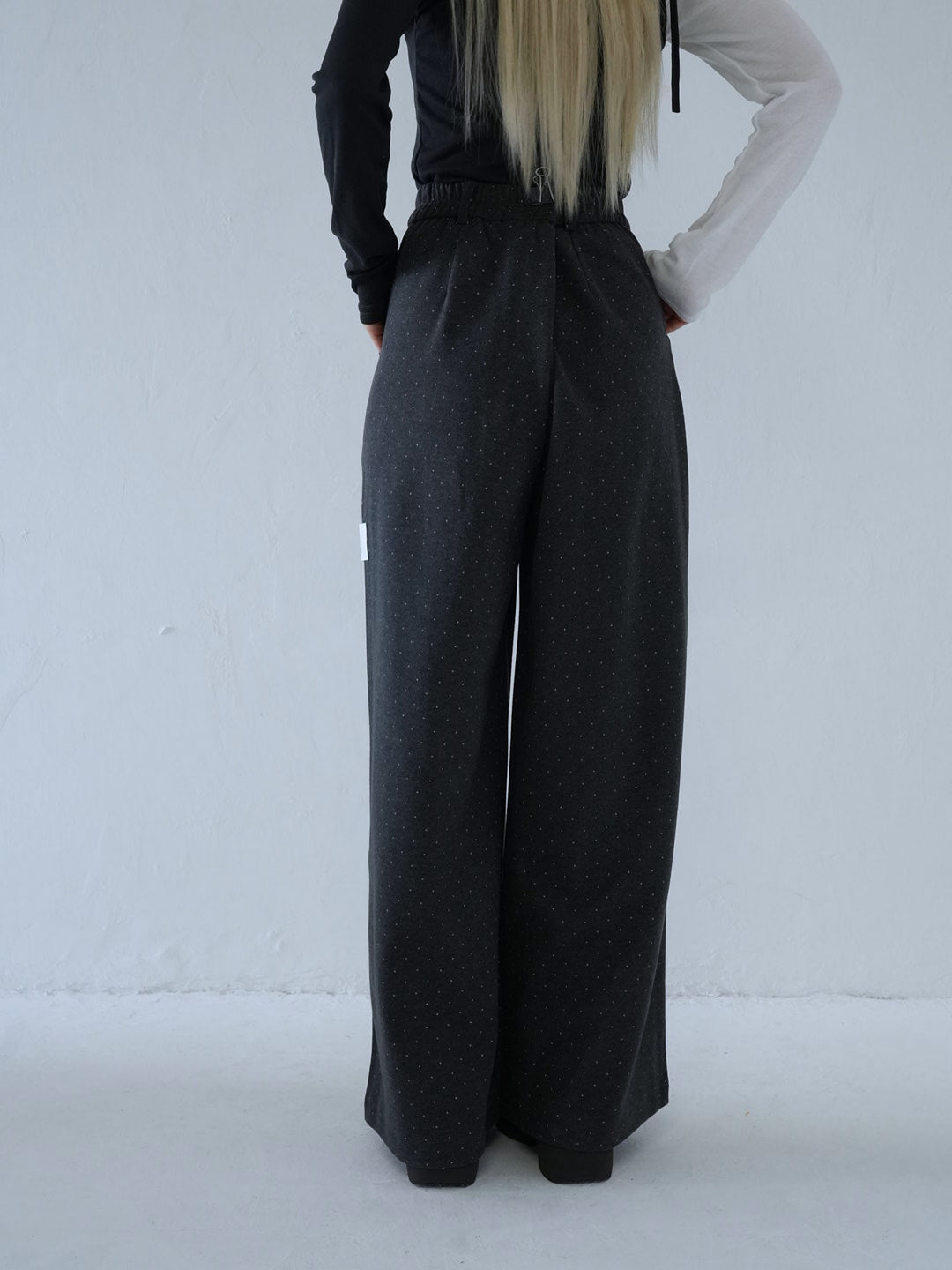 【 10月上旬発送予定 】dot pattern wide slacks