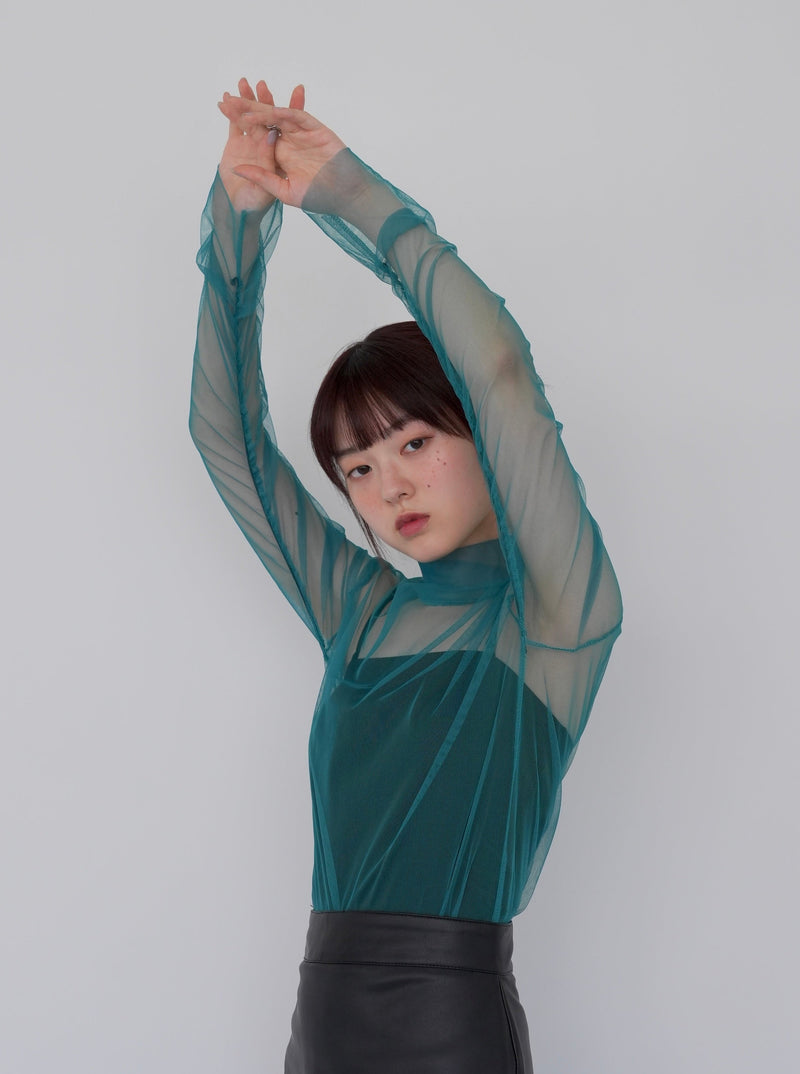 sheer mesh turtleneck