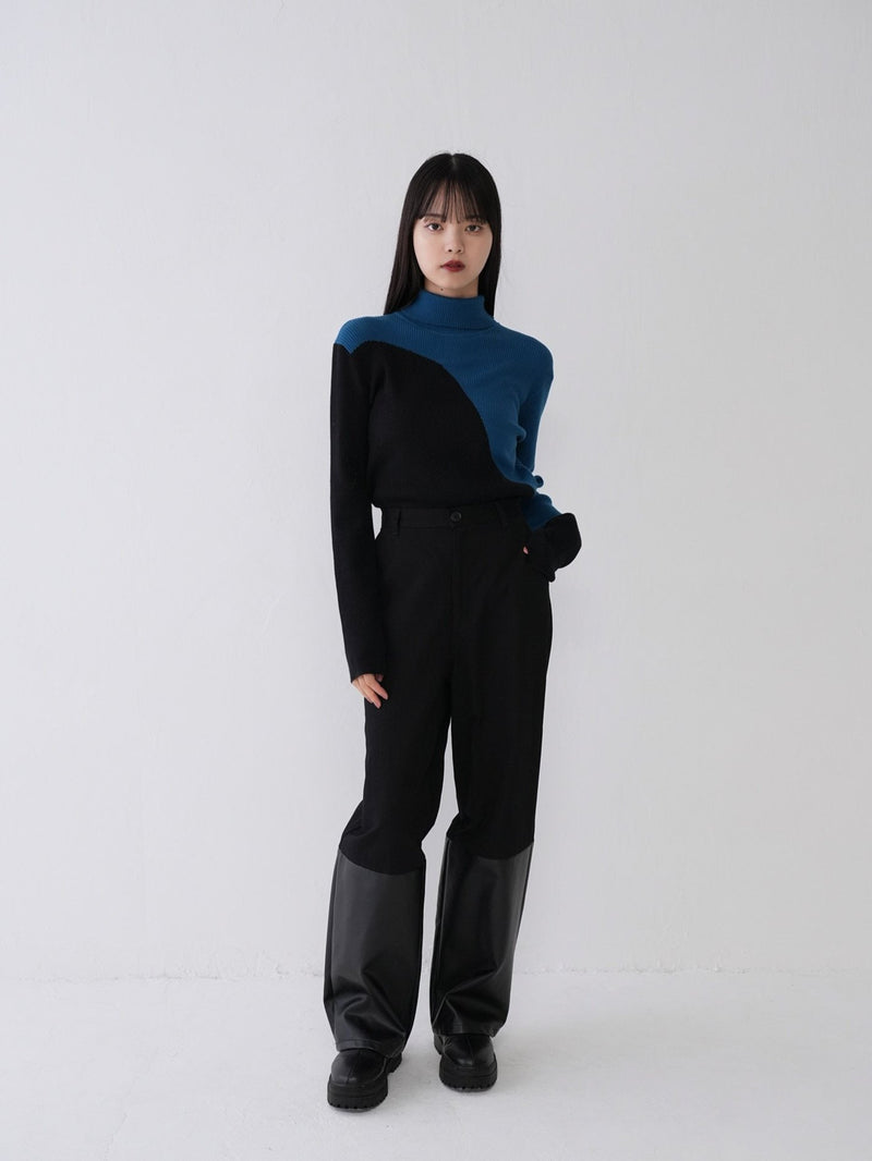 bicolor turtleneck