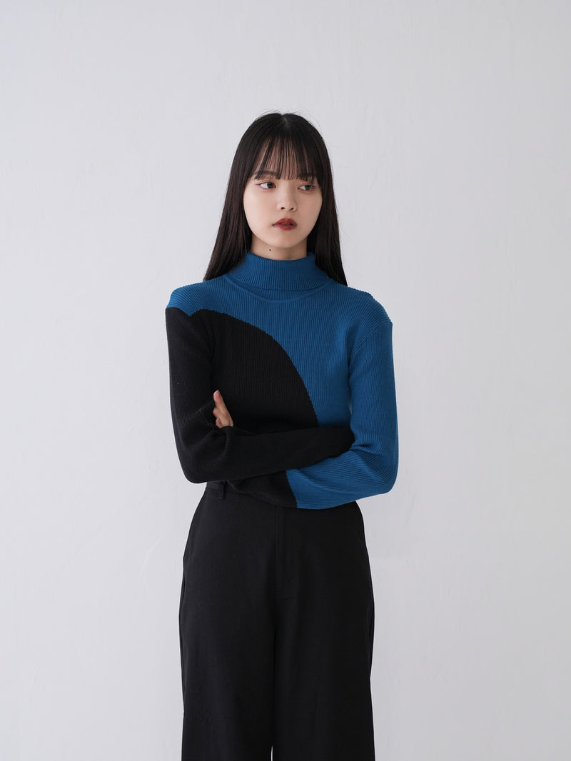 bicolor turtleneck